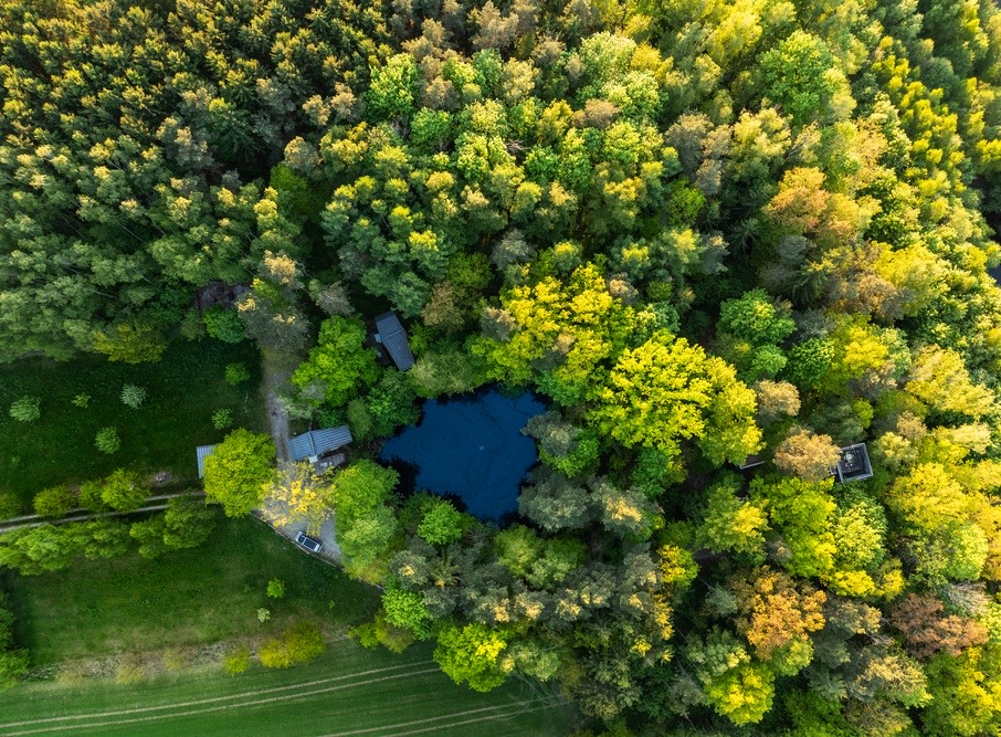 Blick über den edelførst-Wald
