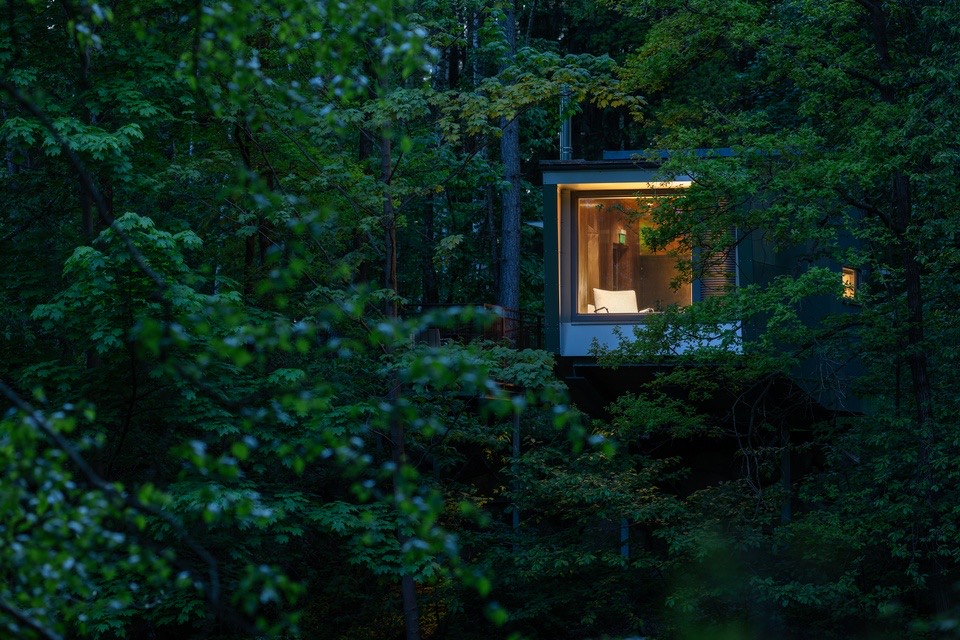 edelførst Baumhaus in der Natur